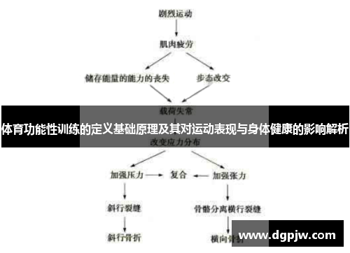 体育功能性训练的定义基础原理及其对运动表现与身体健康的影响解析